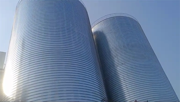 大关2座混凝土高架卷板仓